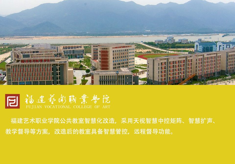 成功案例 11